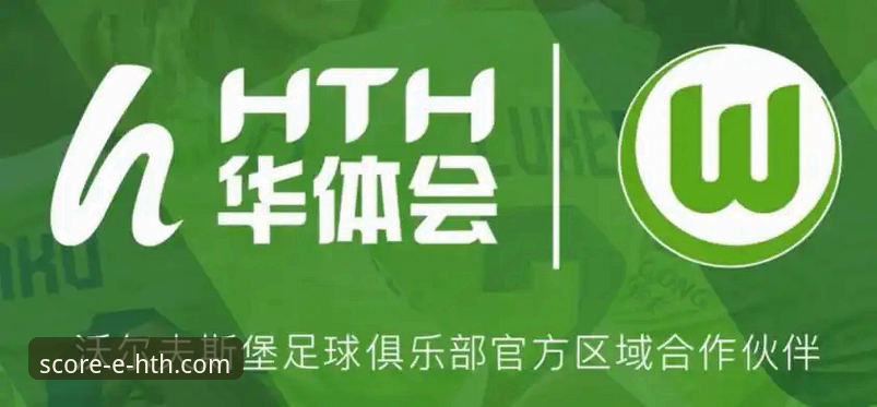体育数据平台客服 HTH华体会体育数据平台客服实用指南:问题解决与高效沟通技巧